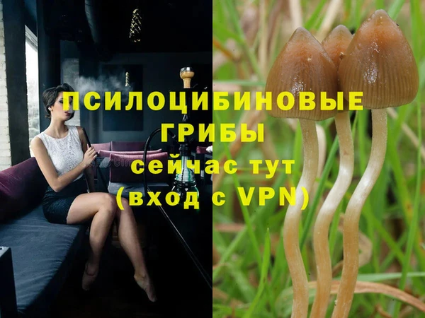 соль курить ск Бородино
