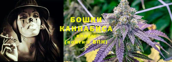 шишки Бронницы