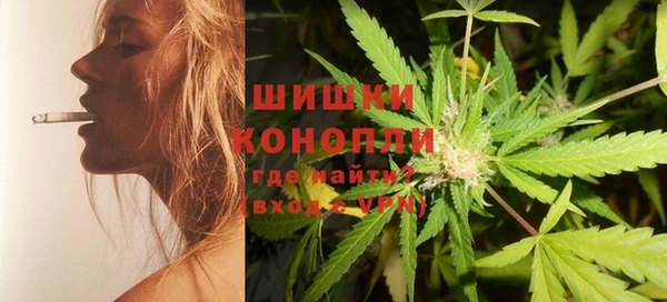 шишки Бронницы