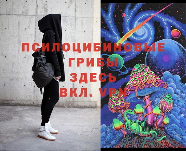соль курить ск Бородино
