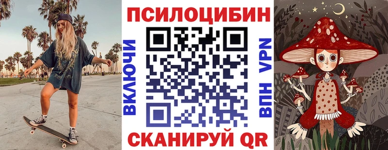 KRAKEN вход  как найти   Гулькевичи  Псилоцибиновые грибы прущие грибы 